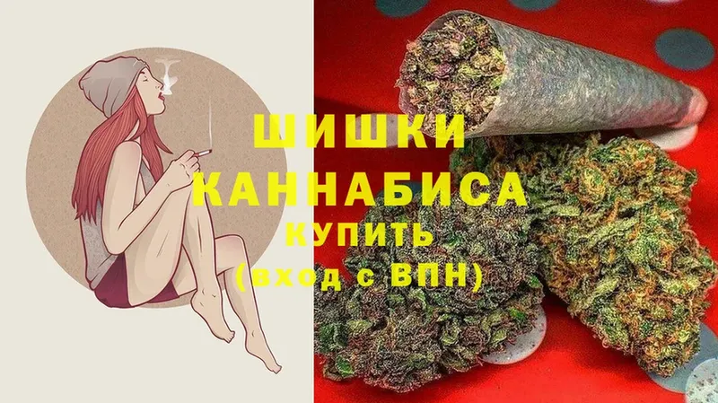 Бошки марихуана THC 21%  Вязьма 